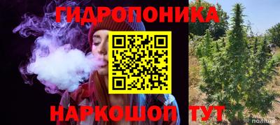 дмт Заволжье